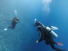  Panorama Reef
